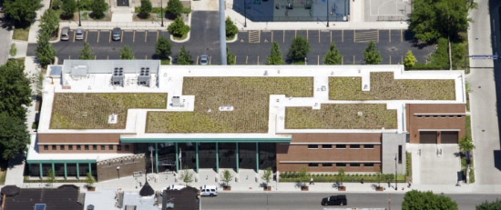 Chicagos 23rd green roof